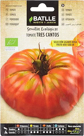 Semillas Batlle Tomate Tres Cantos Gigante Rosa - ECO  