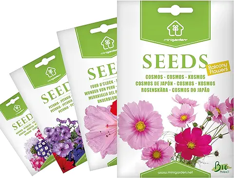 Semillas Ecológicas Minigarden, 2335+ Semillas, Selección FLORES DE BALCÓN: Petunia, Cosmos de Japón, Verbena y Don Diego de Noche  