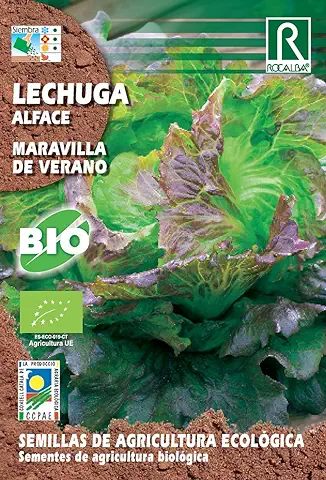 Semillas ECOLOGICAS Lechuga Maravilla  