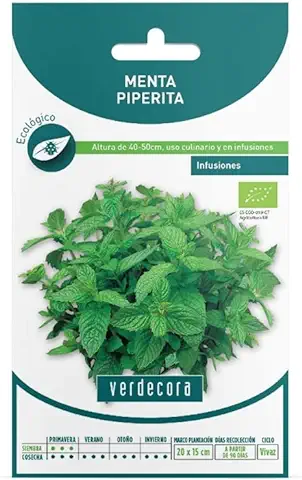 SEMILLAS ECOLOGICAS MENTA VERDECORA  