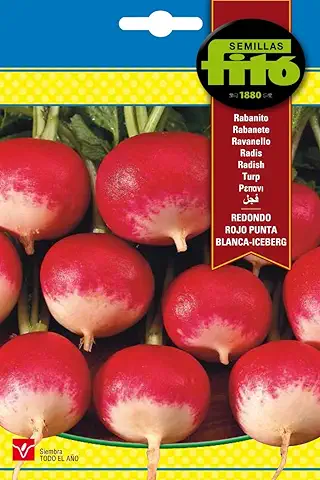 Semillas Fitó 269 - Semillas de Rabanito Redondo Rojo Punta Blanca Iceberg  