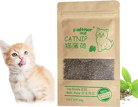 SEMINISMAR Catnip Juguetes de Hierba Gatera, 100% Natural, El Regalo y Premio para Gatos, 10g  