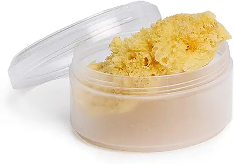 Suavinex, Esponja 100% Natural para Bebé, Esponja Pequeña, para Recién Nacido, Muy Suave y Absorbente, con Cajita para Guardar. Esponja Marina, Amarillo  