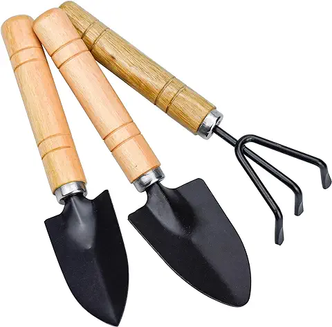 TDDL 3PCS Mini Herramientas de Jardín Palas Rastrillos Tenedor Mango de Madera Mini Jardín Planta Herramienta Kit Cuidado de Jardín  