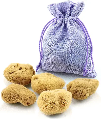 Tom&pat Esponjas Menstruales – Alternativa al Tampón, DERMATEST: MUY BUENO, con Cambiador para Llevar, Esponja Natural como Esponja Vaginal, Lavable y Reutilizable (tamaño S / 5 x 3-5 cm)  