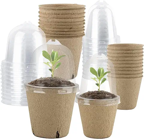 VINFUTUR 20pcs Semilleros Germinación Biodegradables Macetas Semillas para Germinación con Tapa Transparente Maceteros Biodegradables Pequeñas con Agujeros para Plantar Invernadero Huerto Jardín  