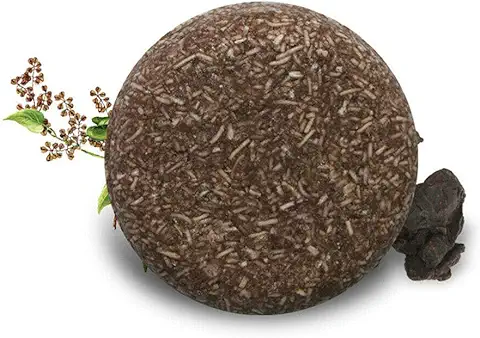 WyTosa Champú Oscurecedor, Champú y Acondicionador Oscurecedor Natural en Barra, Champú Polygonum Multiflorum Champú Anticaída y Jabón Anticaspa  