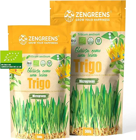 ZenGreens® - Semillas de Trigo eco Ecológico - Elija Entre 200g y 500g - Brotes de Trigo eco - Germinación de más del 97% - Microgreens  
