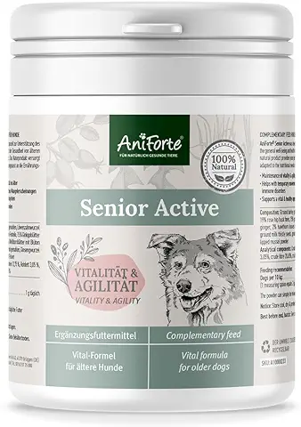 AniForte Senior Active en Polvo 250 g para Perros Mayores - Minerales y Vitaminas para Perros, Ayuda a la Memoria y a la Función Cardíaca, Mejillón de Labios Verdes para la Vitalidad y la Agilidad  