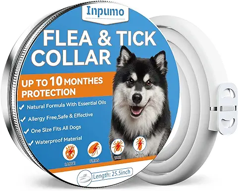 Collar Antiparasitario Perros, Collar Antipulgas Perros, Fórmula Mejorada con Aceites Esenciales Naturales, Protección Impermeable y Ajustable para Perros de Todos Los Yamaños  