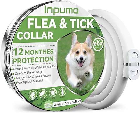 Collar Antiparasitario Perros, Seguro y Eficaz Antipulgas Hecho de Aceites Esenciales 100%, de 12 Meses de Natural Collares Adesparasitante Perros Impermeables Ajustables (1pcs)  