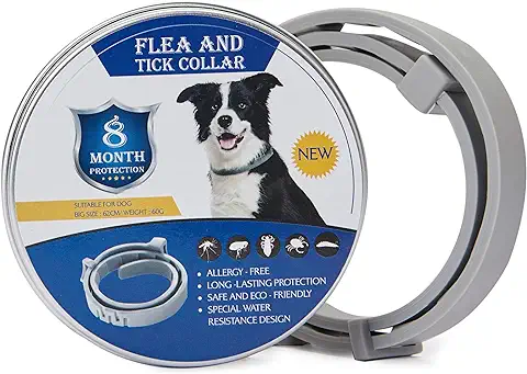 Hyindoor Collar Antiparasitario para Perro Gato Mediano o Grande Contra Pulgas Garrapatas y Mosquitos con 8 Meses de Protección Collar Ajustable e Impermeable de Aceite Esencial Natural (62cm)  