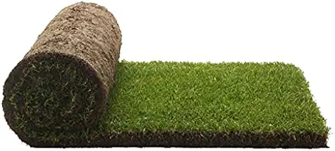 PetGround Recambio XL, Empapador para Perros, Alfombrilla de Césped 100% Natural para Mascotas, Área de Entrenamiento para Perros, Empapador Ecológico (sin Bandeja), XL 120cm x 40cm  