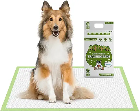 Pogi's Training Pads - Toallitas de Entrenamiento para Perros (20 Unidades) (60x90cm) — Extra Grandes, Súper Absorbentes, Almohadillas de Entrenamiento Ecológicas para Perros Medianos a Grandes  