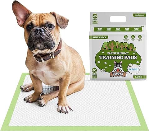 Pogi's Training Pads - Toallitas de Entrenamiento para Perros (40 Unidades) (60x60cm) — Grandes, Súper Absorbentes, Almohadillas de Entrenamiento Ecológicas para Perros Pequeños a Medianos  