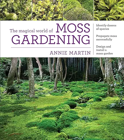 The Magical World of Moss Gardening  
