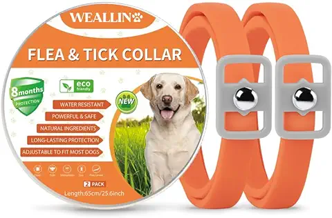 WEALLIN Collar Antiparasitario Perros, Ajustable y Impermeable Collar Antipulgas Perro, Protección de 8 Meses, Aceites Esenciales 100% Naturales para Perros de Todos Los Tamaños, Naranja(2 Pcs)  