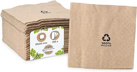 BIOZOYG Servilletas orgánicas ecológicas de papel reciclado I Servilletas de papel 20 x 20 cm I 100 piezas de servilletas sin blanquear, biodegradables, compostables