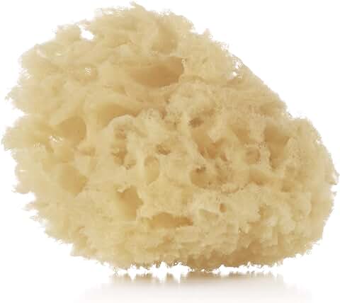 Jané Esponja Natural, 2 Unidades, Suave, Especial Recién Nacido, Higiene Bebé, Natural  