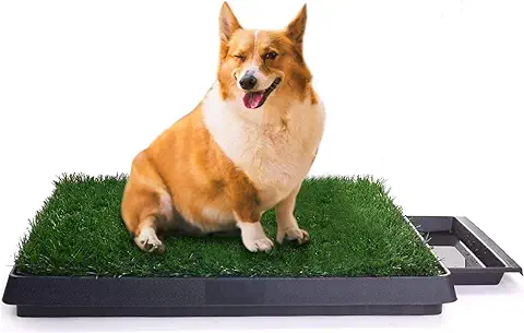 Sailnovo Inodoro para Mascotas Perro Césped Interior Orinal Perro Almohadilla de Entrenamiento de Hierba para Animal Doméstico(63 x 50 x 7 cm)  