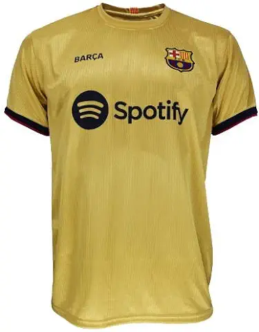 Champion's City