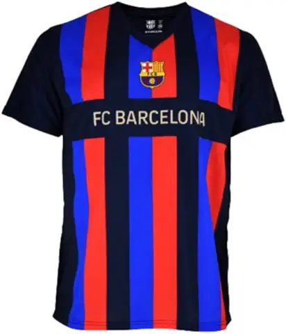 Champion's City