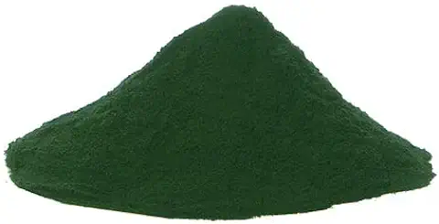 Espirulina Eco para Perros (100g) | Suplemento 100% Natural | Anti-inflamatorio y Anti-oxidante | Ayuda a Las Defensas | en Polvo, un Bote de 100g  