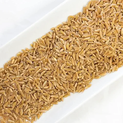 Kamut en Grano ECOLÓGICO a Granel - 500  